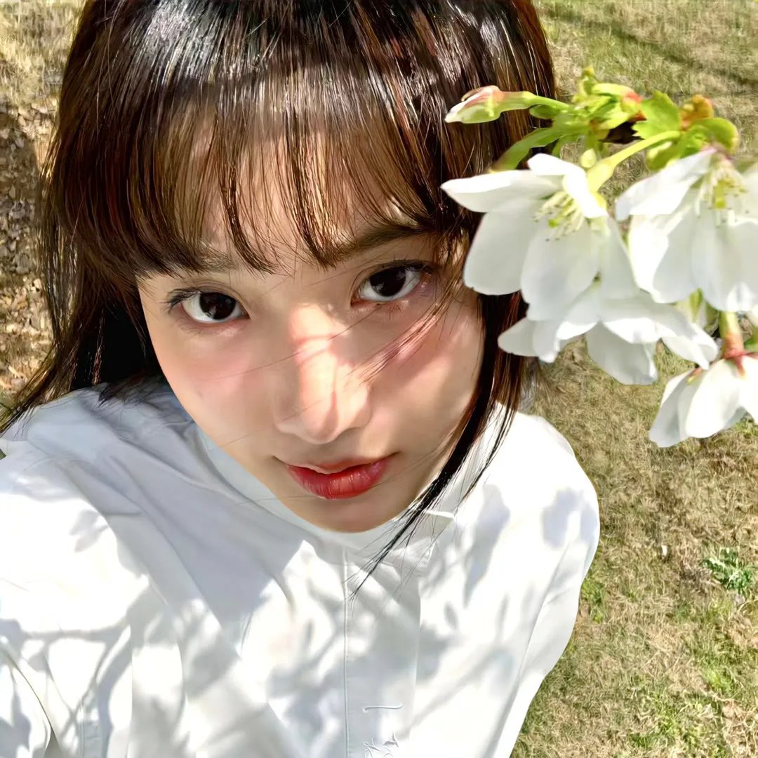 倩狐之妖乱青华