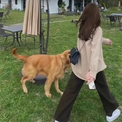 乱世一美人