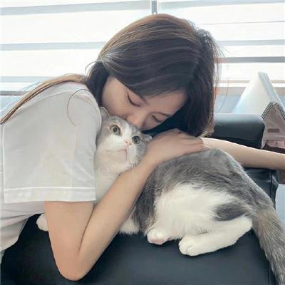胡贝之灯